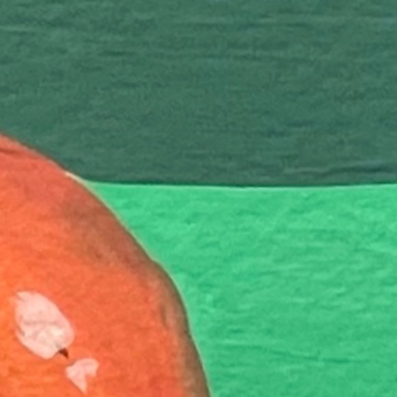 Meet your Posher, Amari - Picture 1 of 1